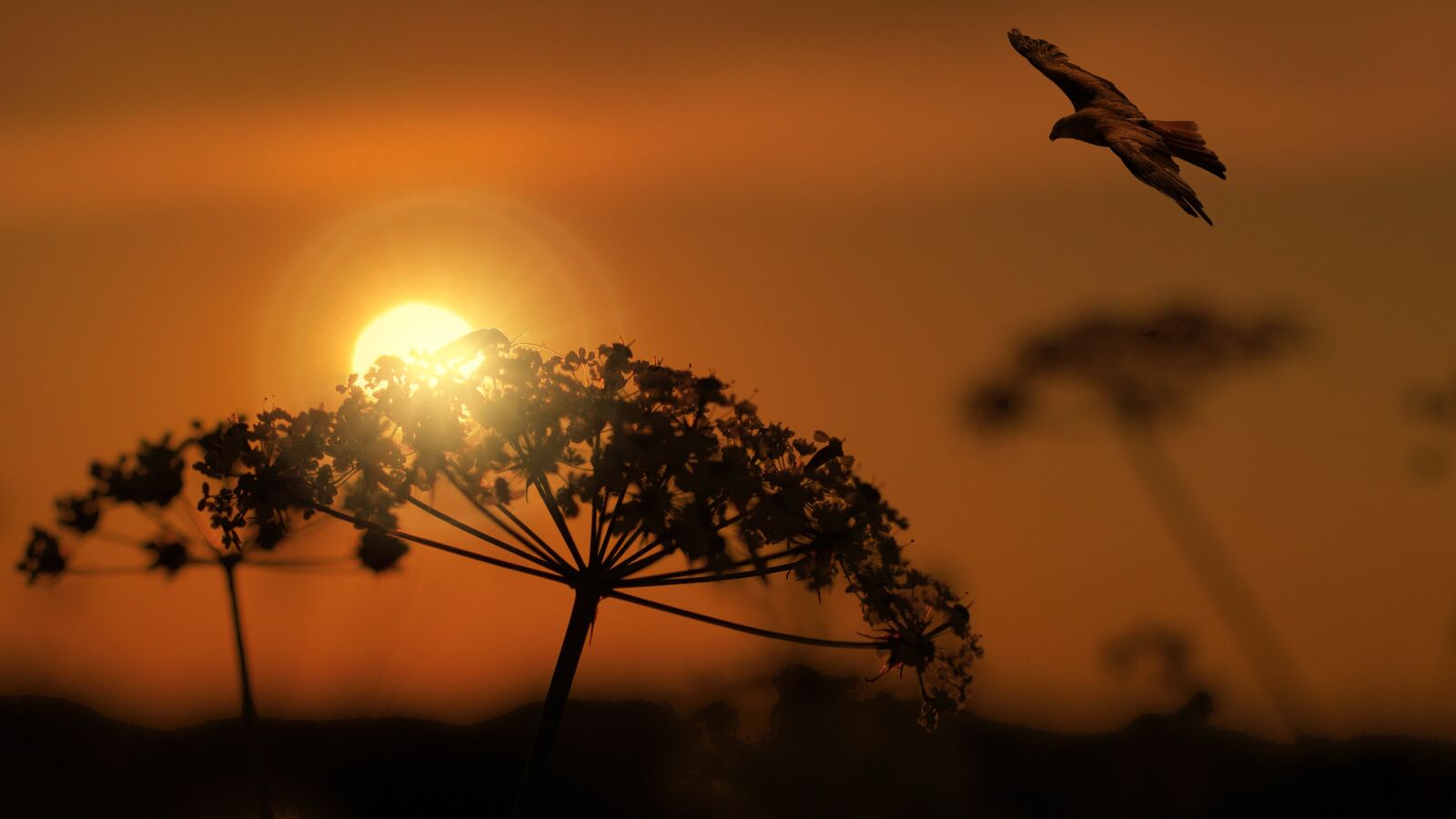 Nikon D3200 sample photo. Sunset, landscape, nature photography