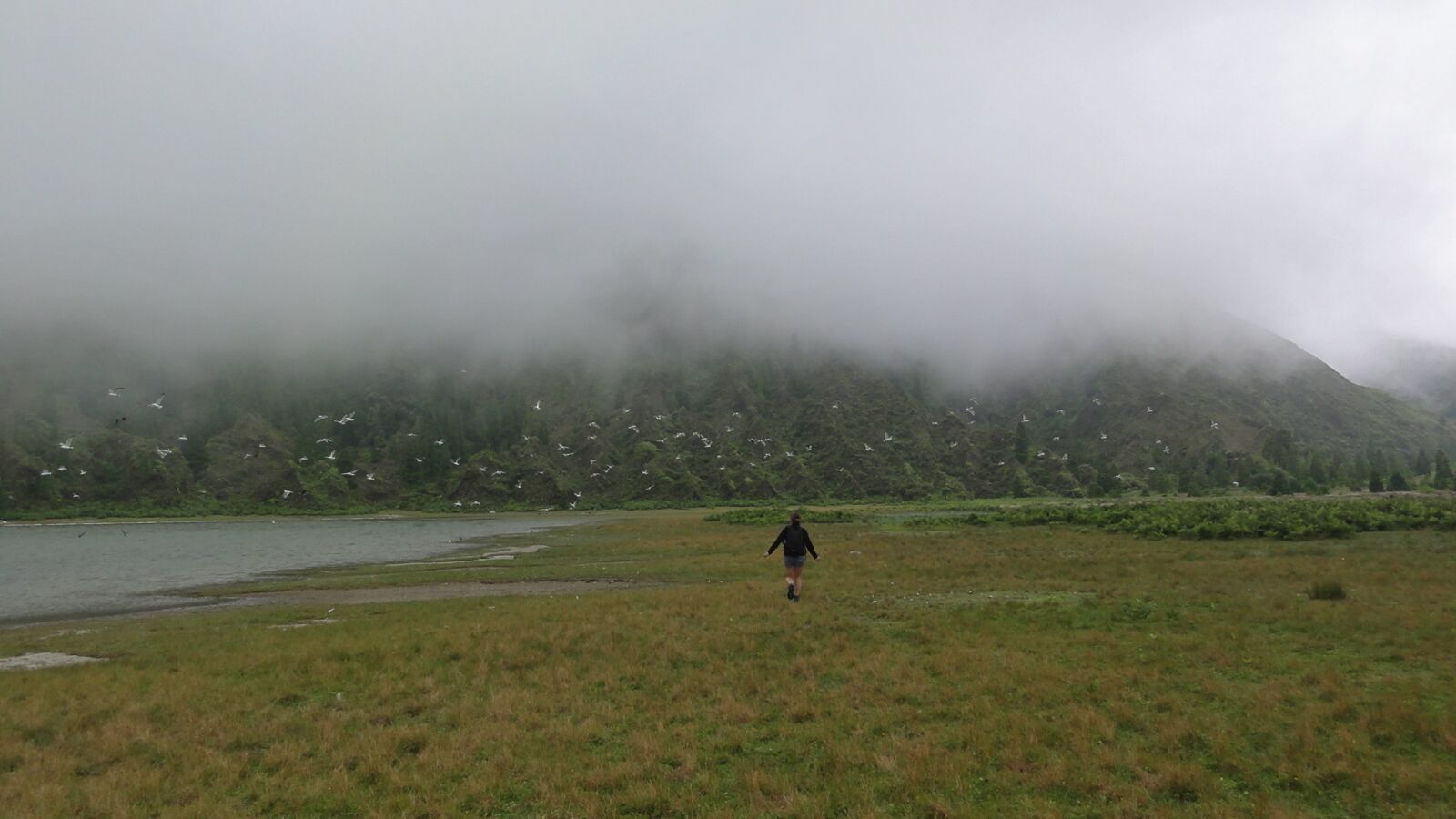 Sony DSC-HX5V sample photo. Run, nature, fog photography