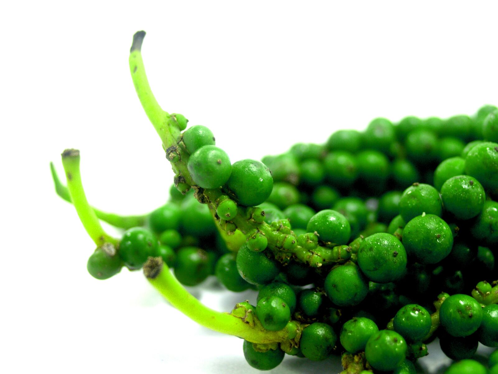 Olympus E-300 (EVOLT E-300) sample photo. Antioxidant, aromatic, bell pepper photography