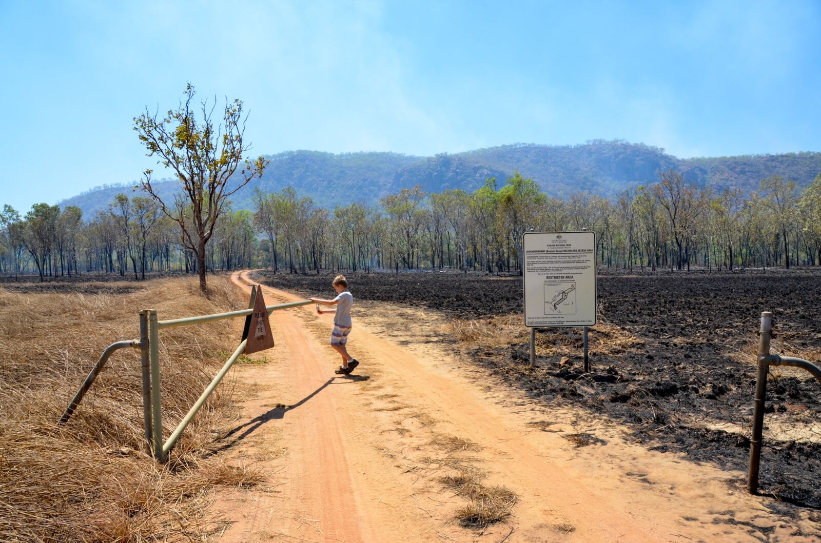 Nikon D5100 sample photo. Gate, burn off, fire photography