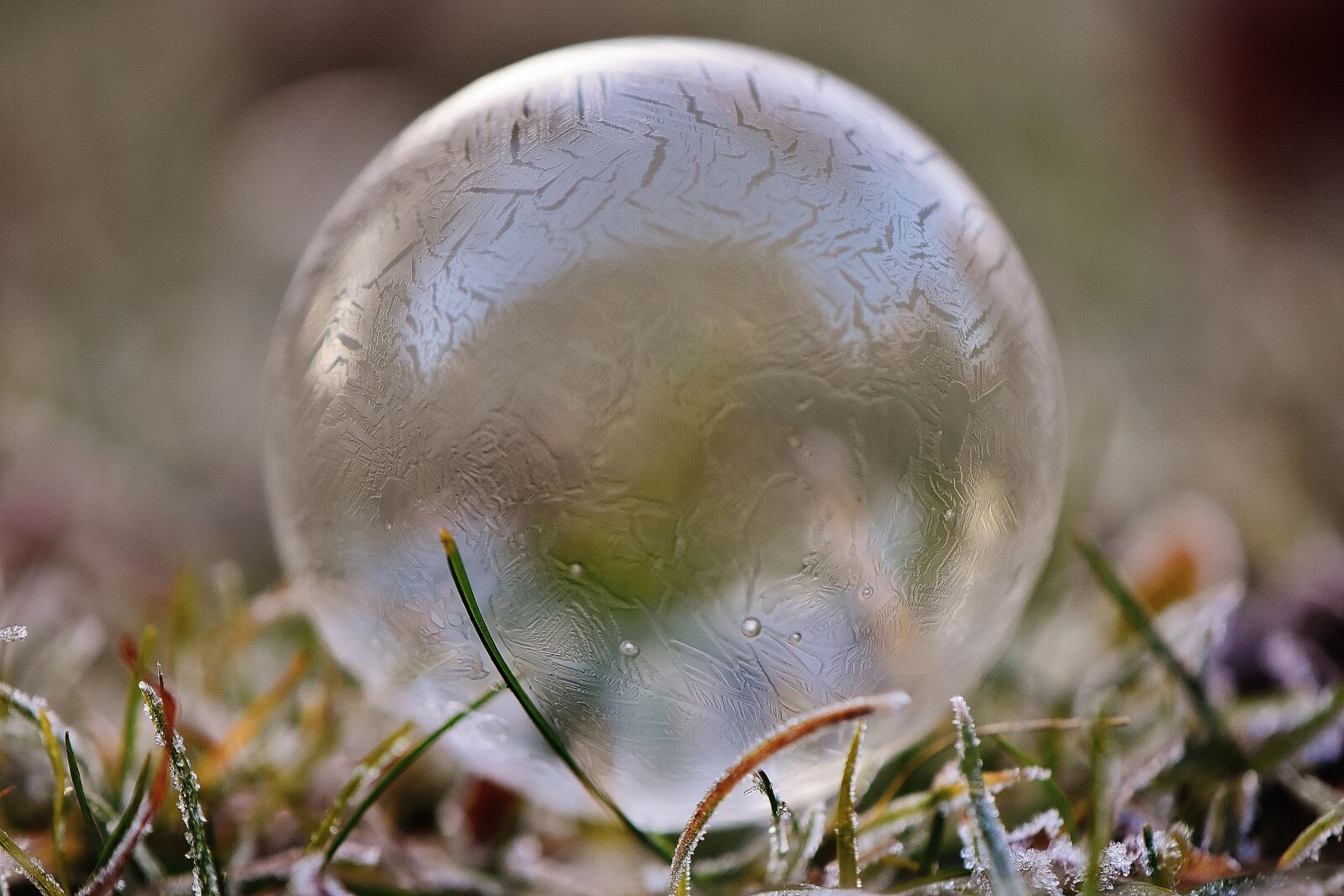 Nikon D7200 sample photo. Soap bubble, frozen, winter photography