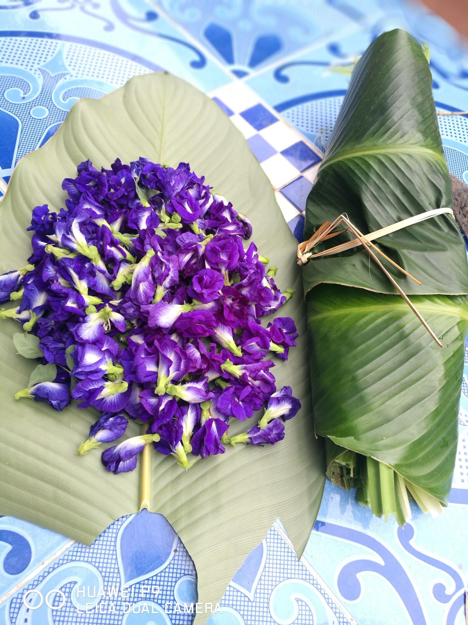 HUAWEI P9 sample photo. Pea flowers, lemongrass, pandan photography