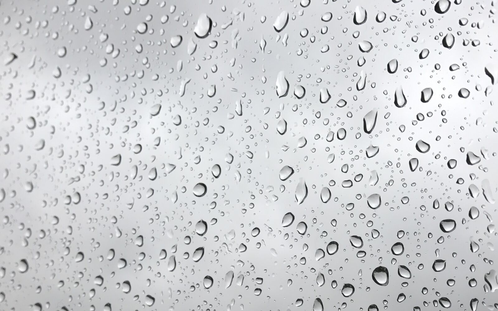 Apple iPhone 7 Plus sample photo. Raindrops, rain, weather photography