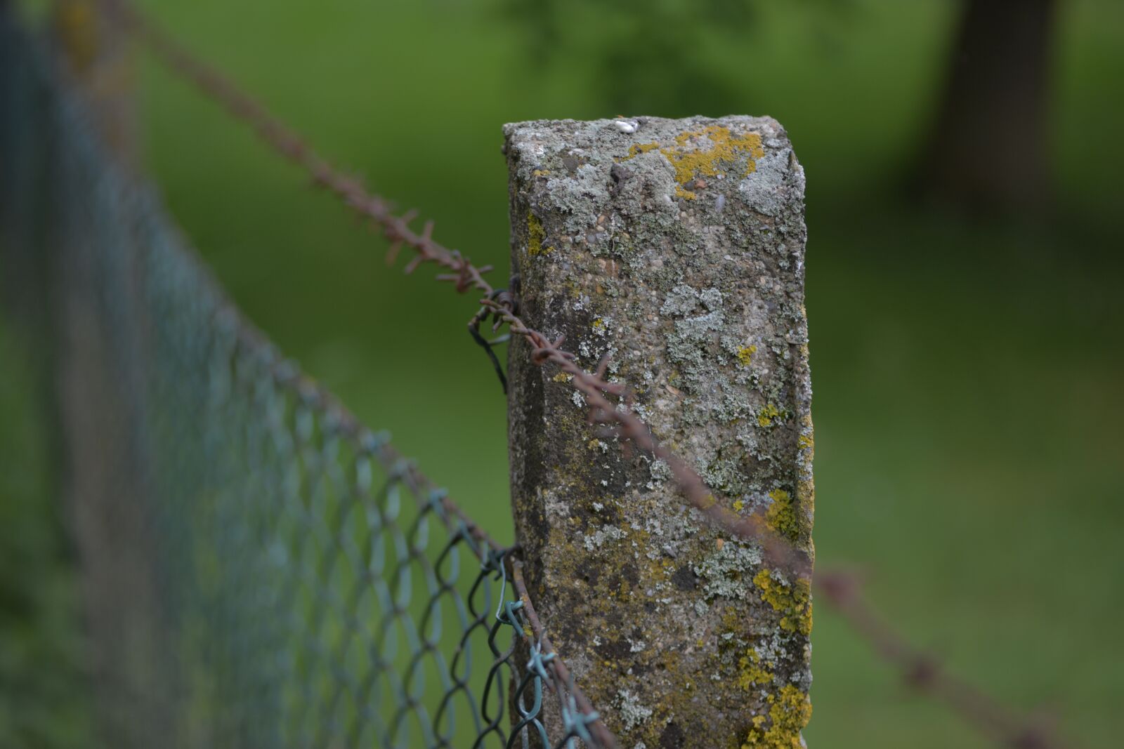 Nikon D5200 sample photo. Fence post, barbed wire photography