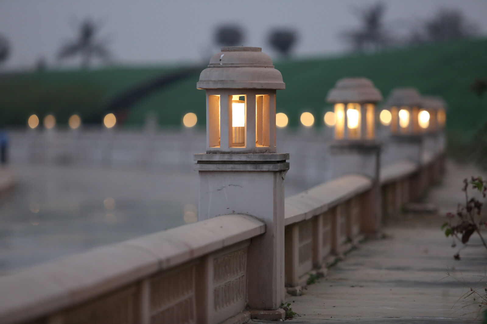 Canon EOS 5D Mark III + Canon EF 70-200mm F2.8L USM sample photo. Garden, lighting photography