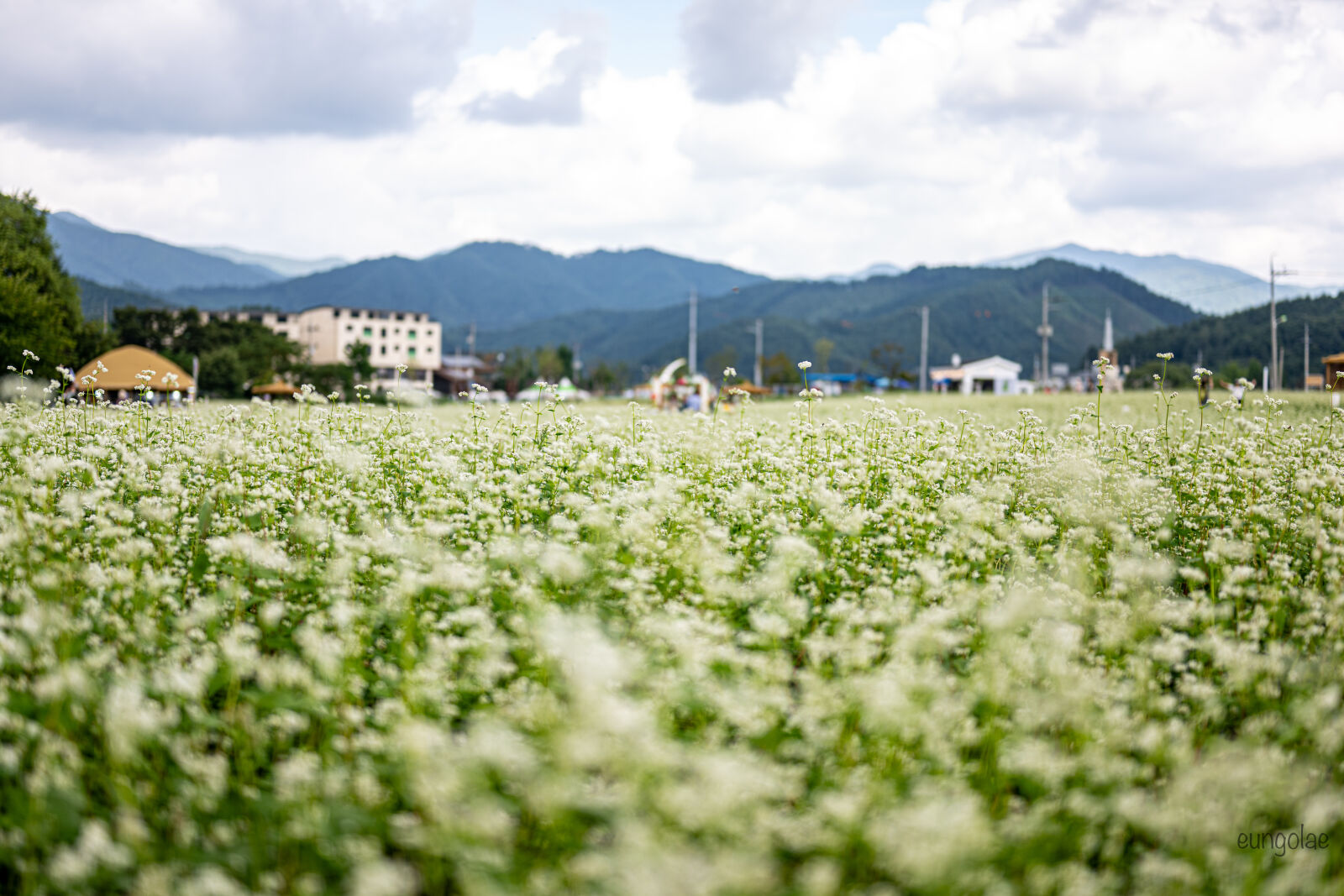 Nikon Nikkor Z 50mm F1.8 S sample photo