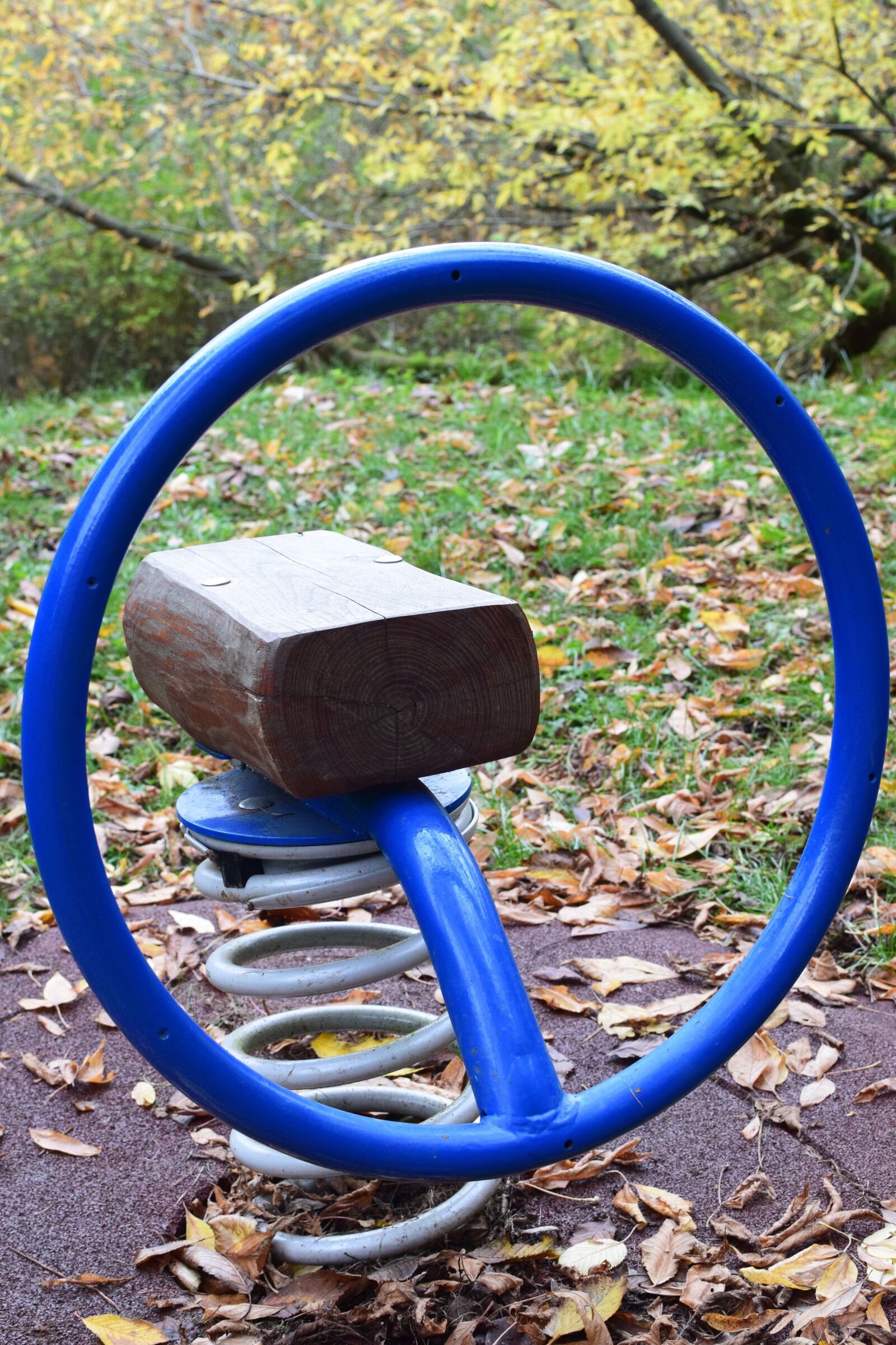 Nikon D5300 sample photo. See saw, game device photography