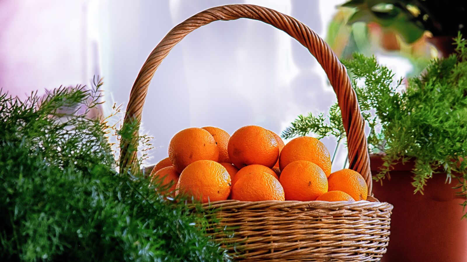 Nikon D7200 sample photo. Oranges, basket, market photography