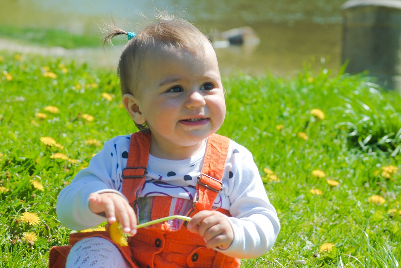 Nikon D3000 sample photo. Family, kids, may 1 photography
