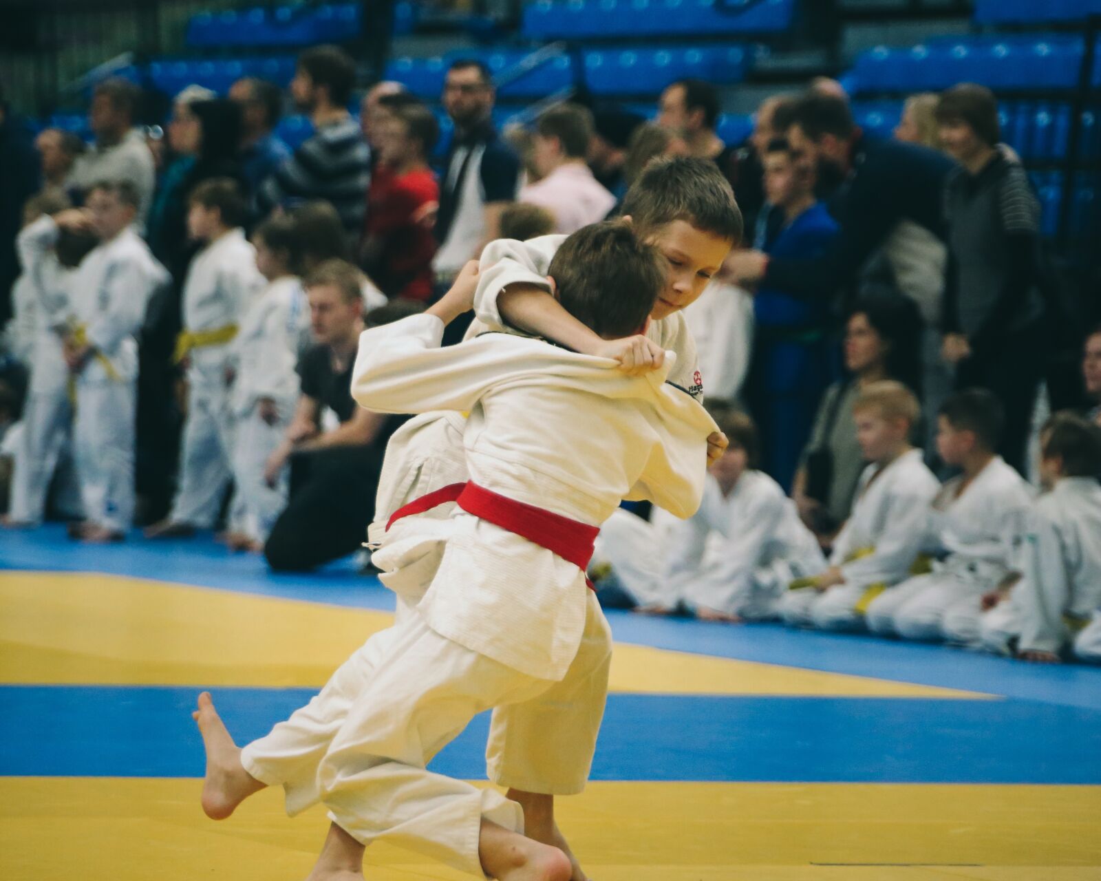 Canon EOS 6D sample photo. Judo, athlete, sport photography