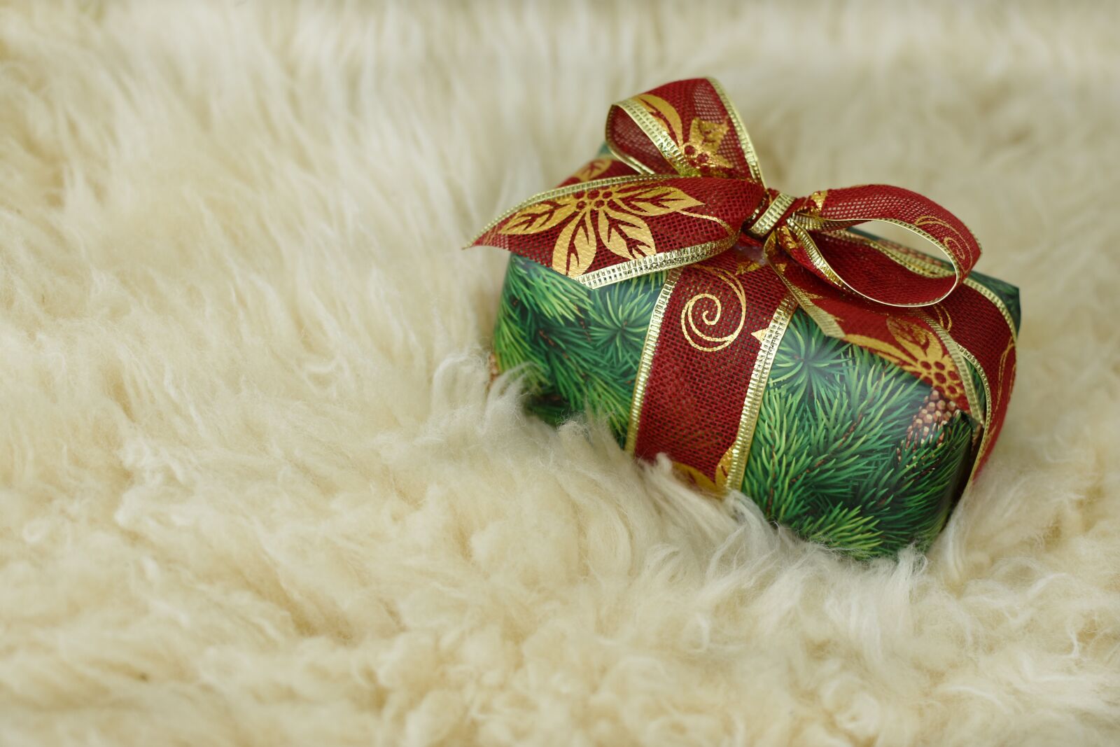 Nikon D3400 sample photo. Toy, bear, christmas photography