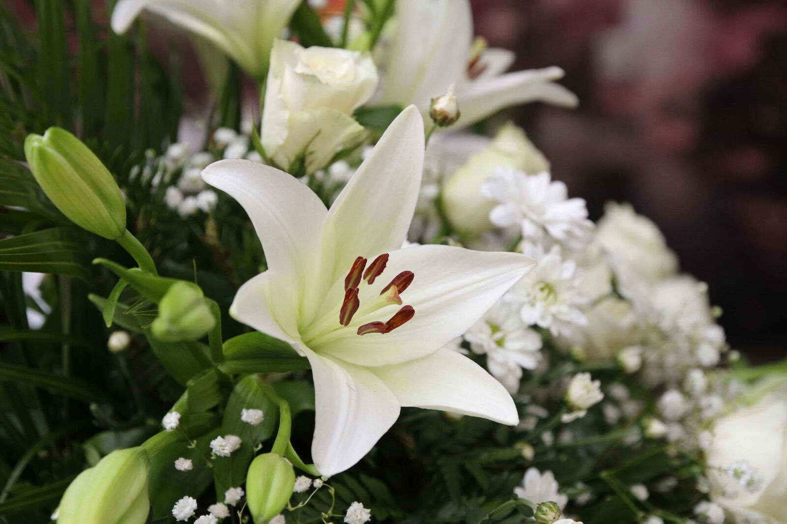 Canon EOS 7D sample photo. Bouquet, decoration, lily, white photography