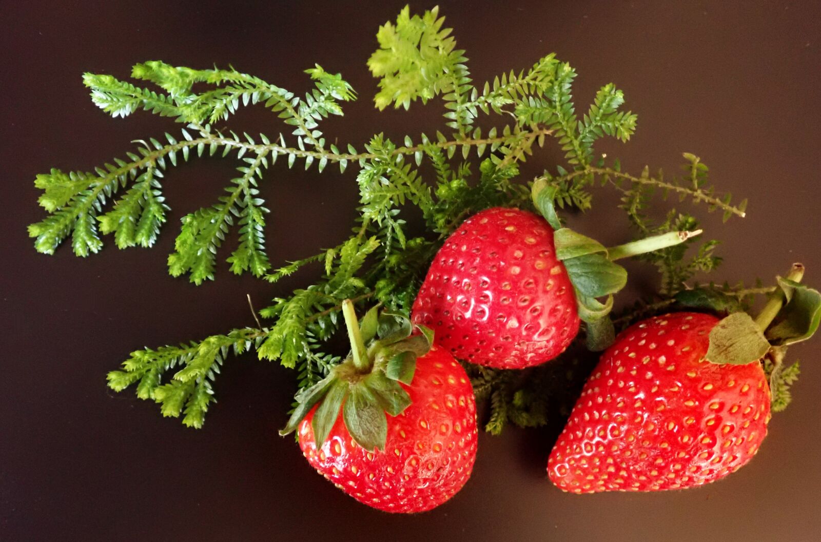 Olympus TG-5 sample photo. Strawberries, fruit, delicious photography