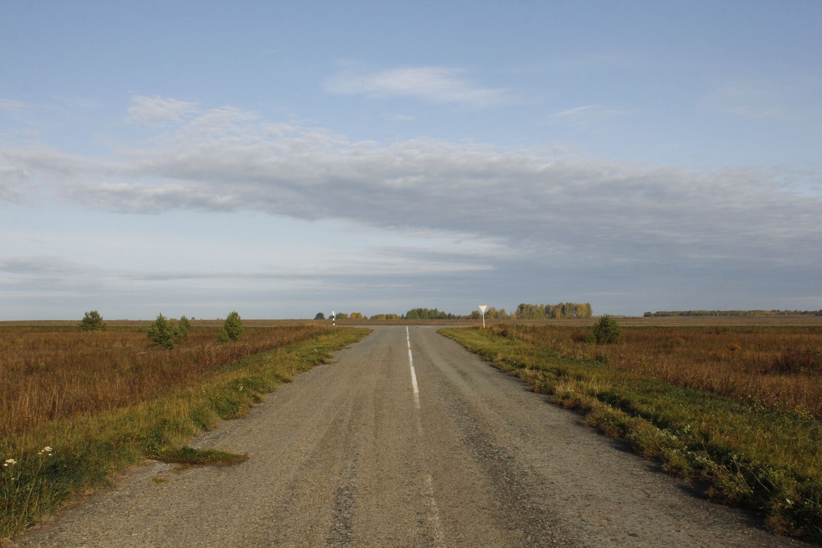 Canon EOS 60D + Canon EF-S 18-55mm F3.5-5.6 sample photo. Field, road, landscape photography