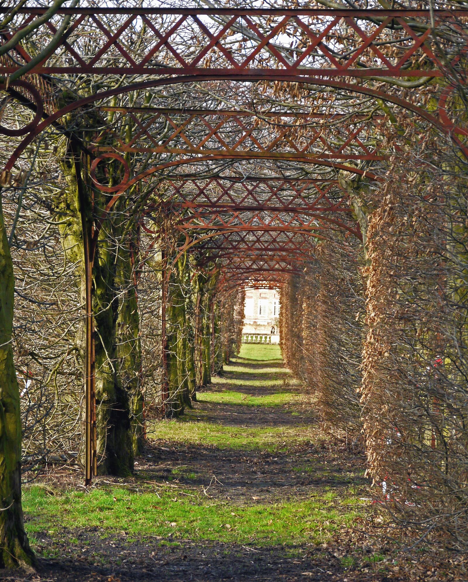 Panasonic Lumix DMC-G1 sample photo. Passage, arch, architecture, plant photography