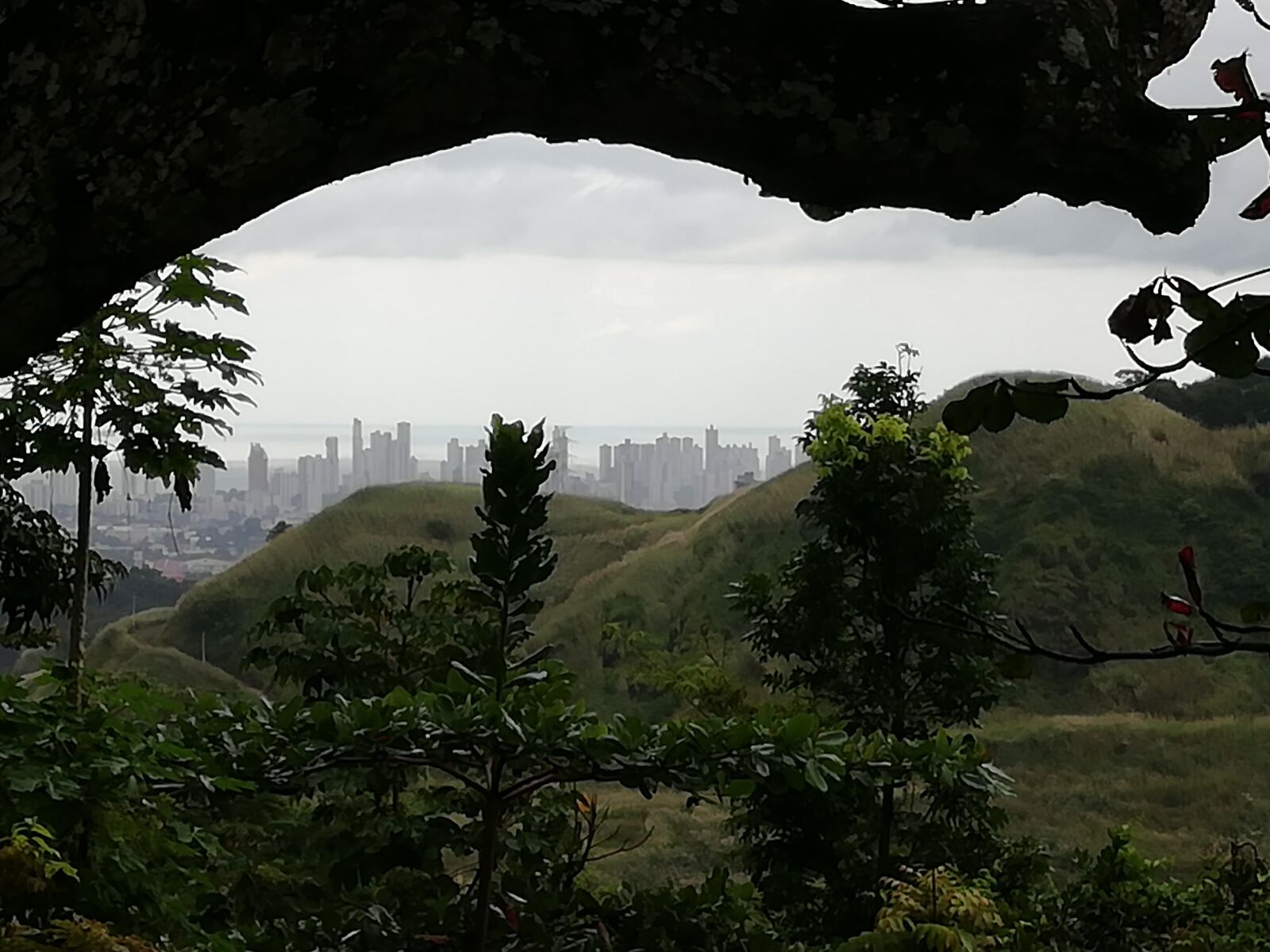 HUAWEI Y9 2018 sample photo. City in the background photography