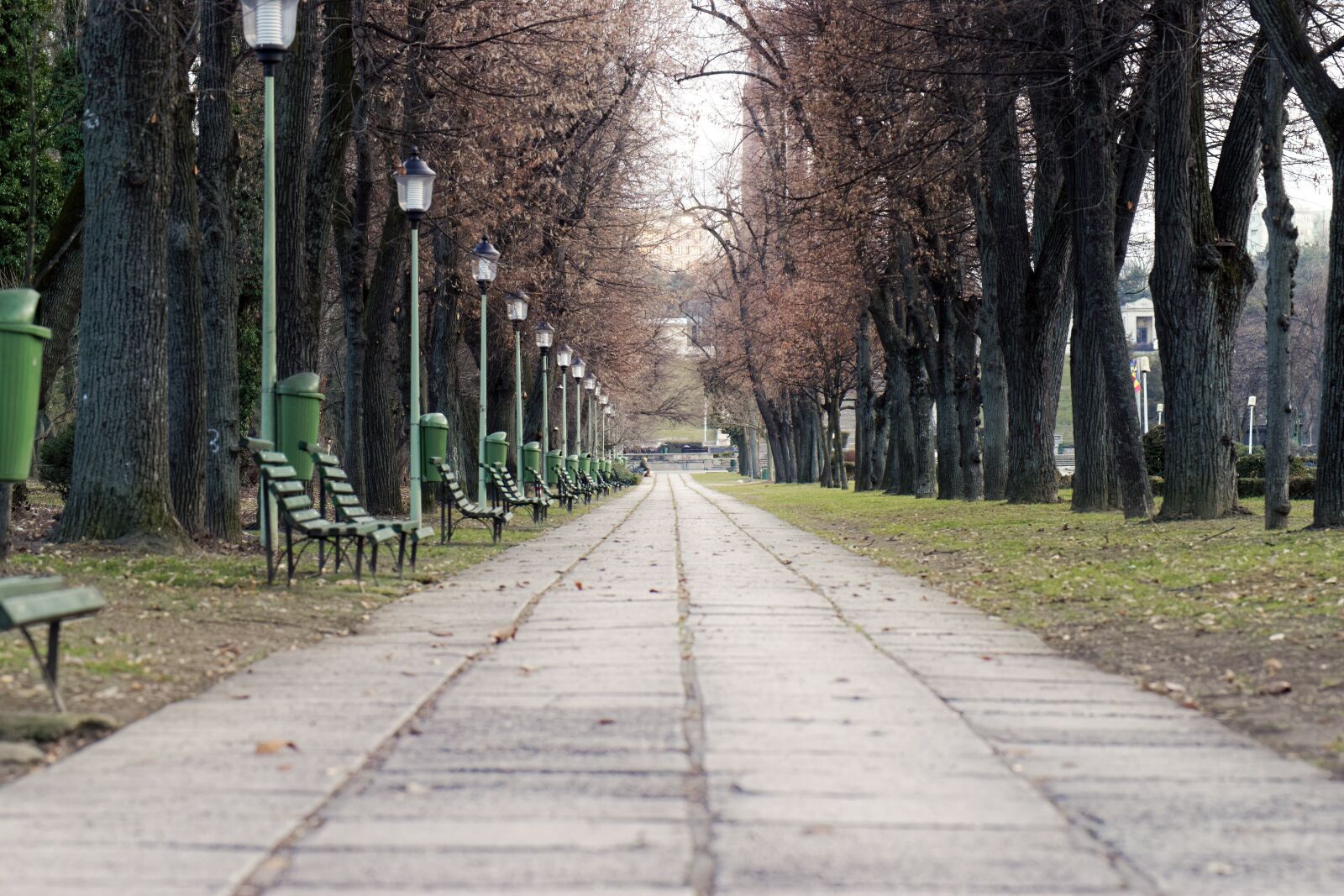 Nikon D5300 sample photo. Landscape, alley, paved photography