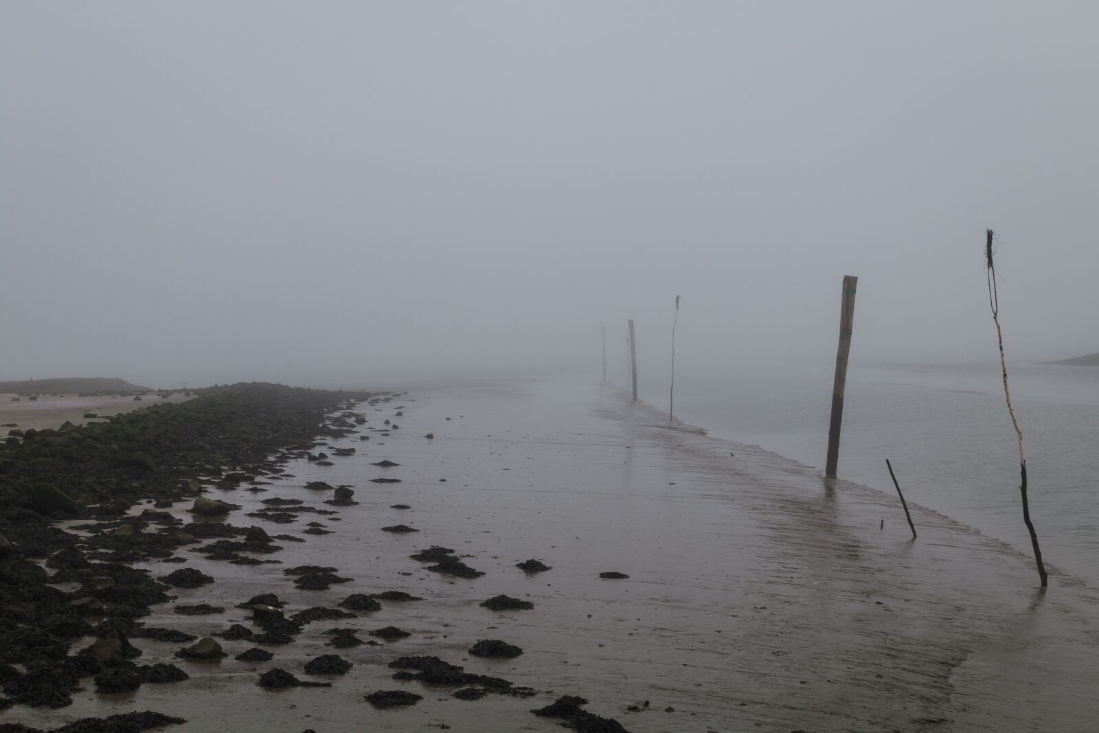 Canon EOS 70D sample photo. Coast, north sea, fog photography