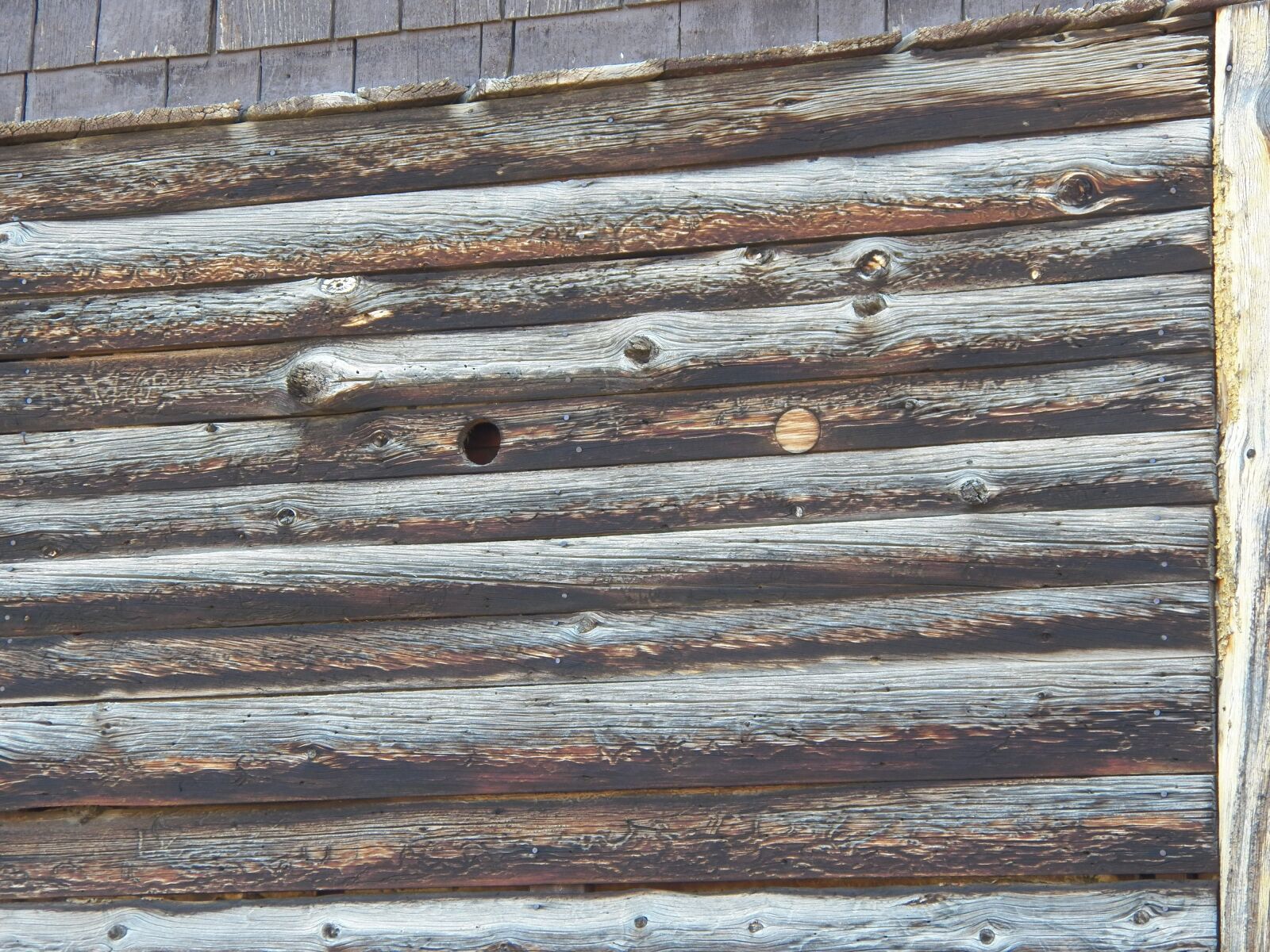 Kodak EasyShare Z990 (EasyShare Max) sample photo. Wood, texture, wood background photography