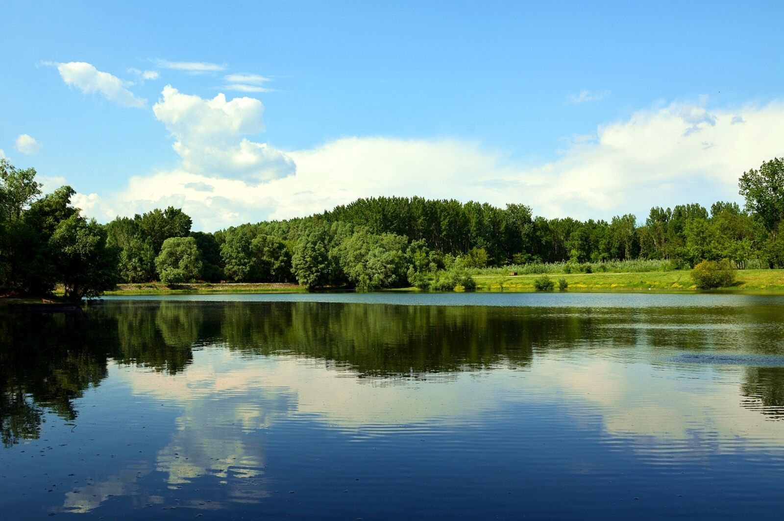 Nikon D7100 sample photo. Sky, water, spring photography