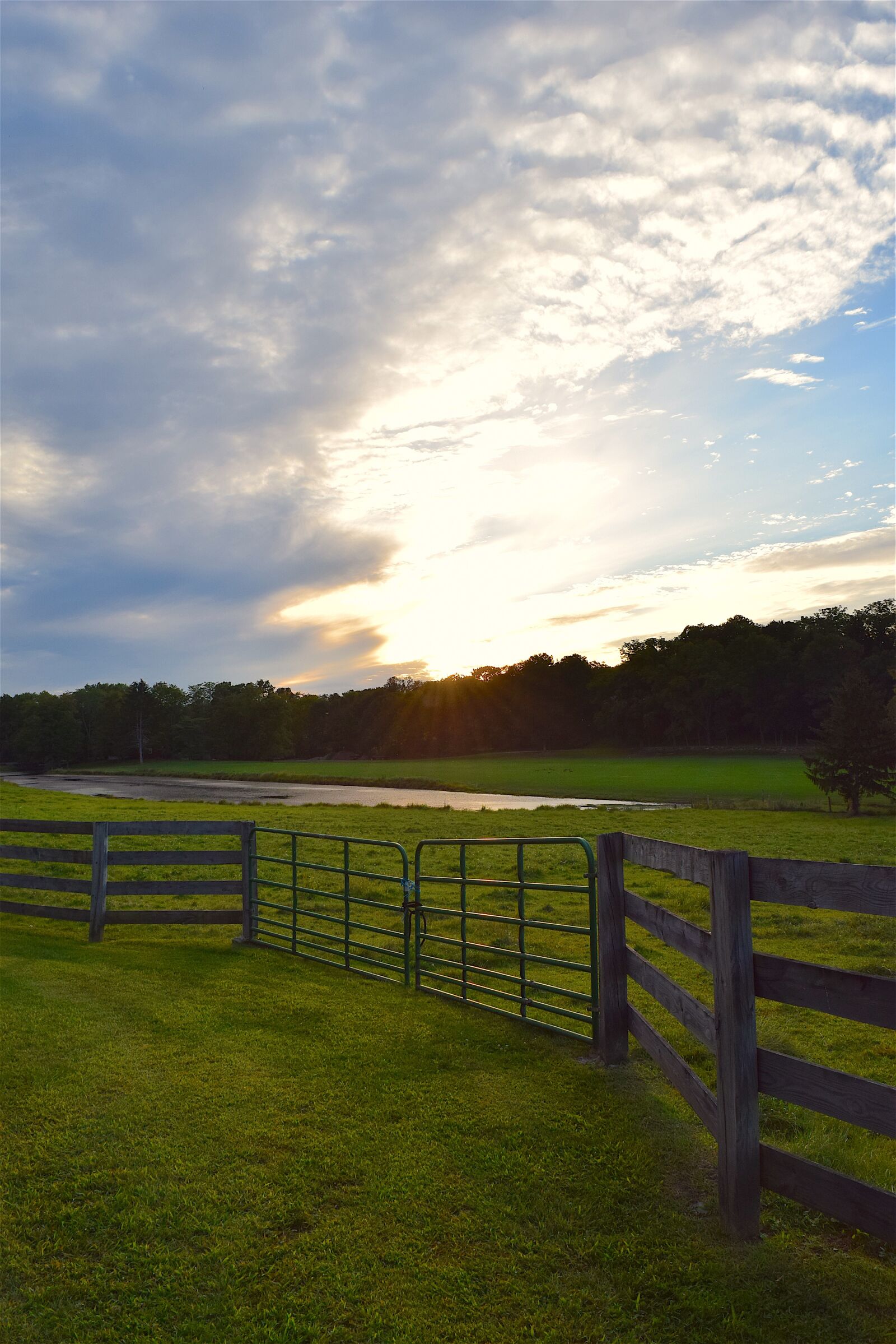 Nikon D3300 sample photo. Fence, rural, pasture photography