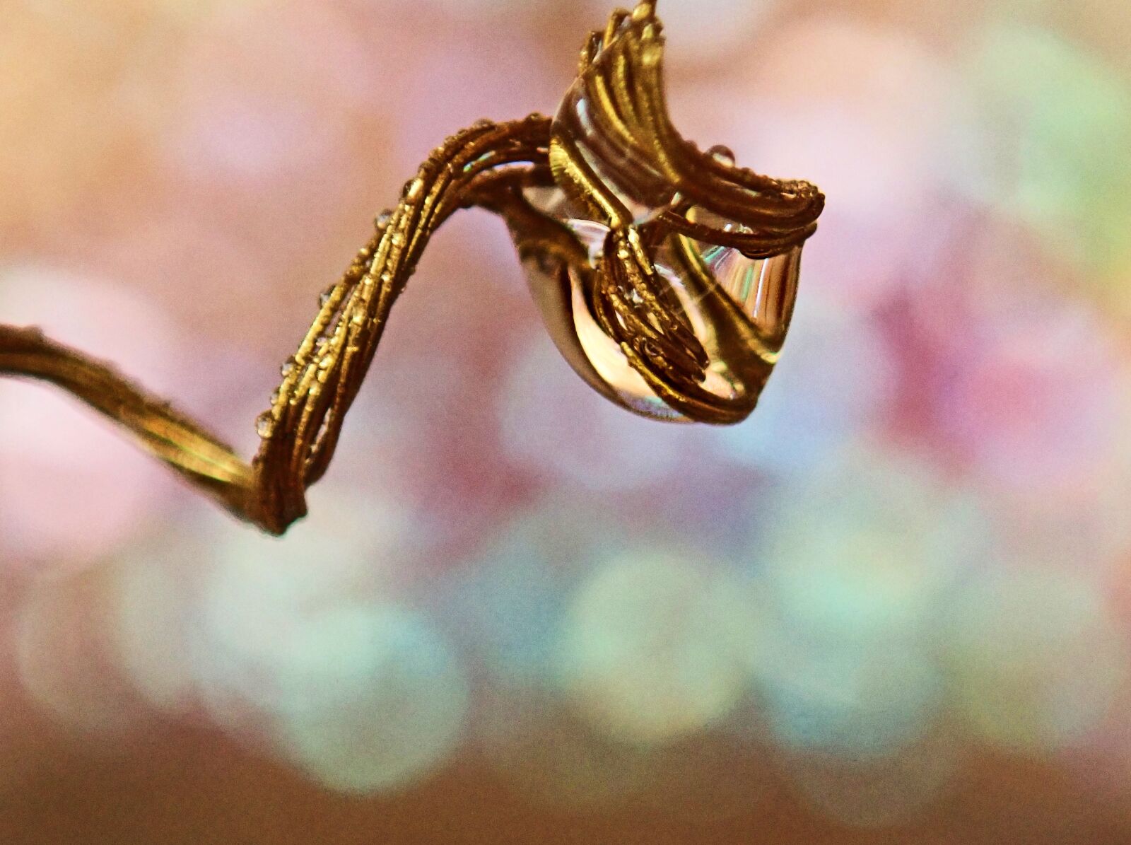 Olympus TG-5 sample photo. Water drop, wire, metal photography