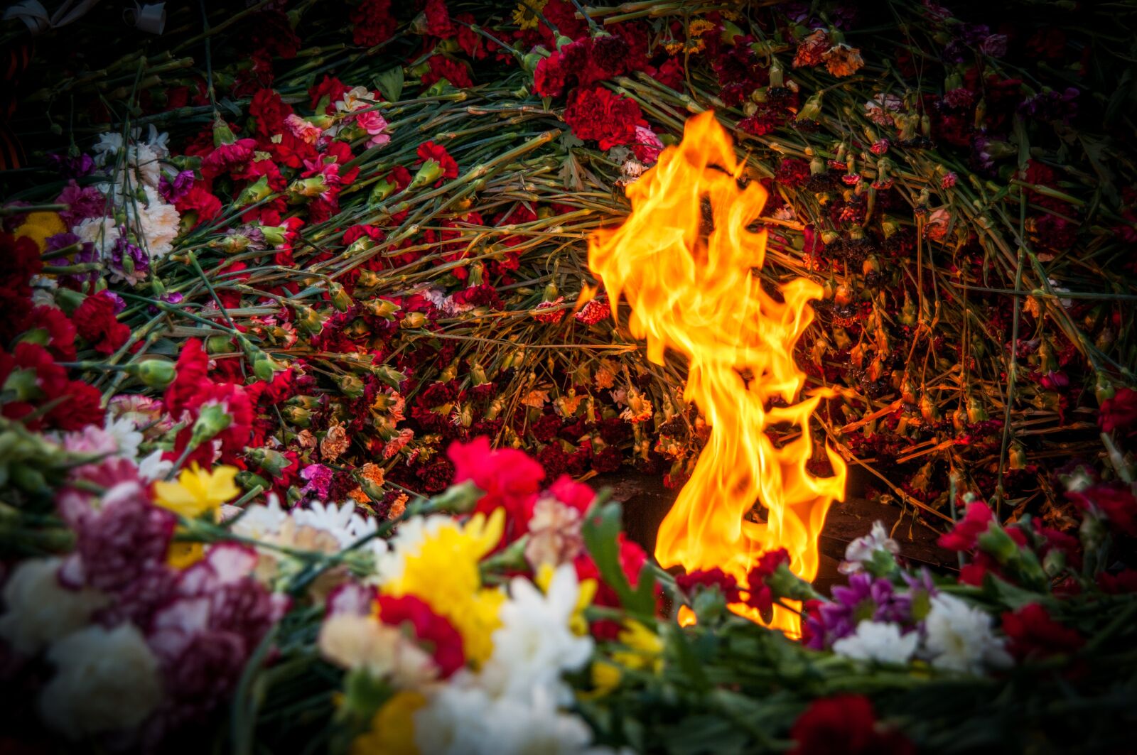 Nikon D300S sample photo. The eternal flame, may photography