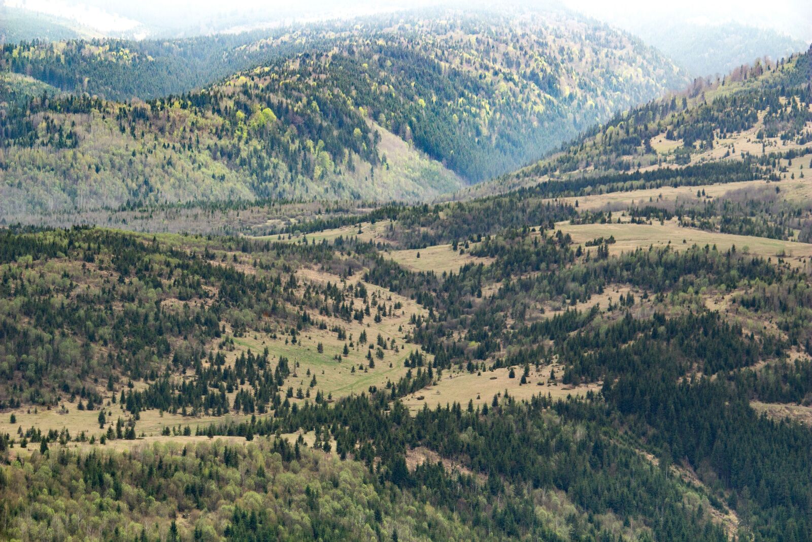 Canon EOS 100D (EOS Rebel SL1 / EOS Kiss X7) sample photo. Transylvania, romania, landscape photography