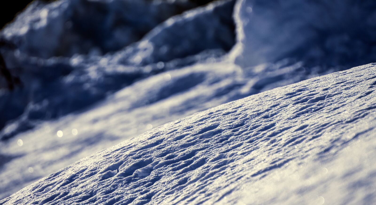 Sony E 55-210mm F4.5-6.3 OSS sample photo. Nature, cold, winter photography