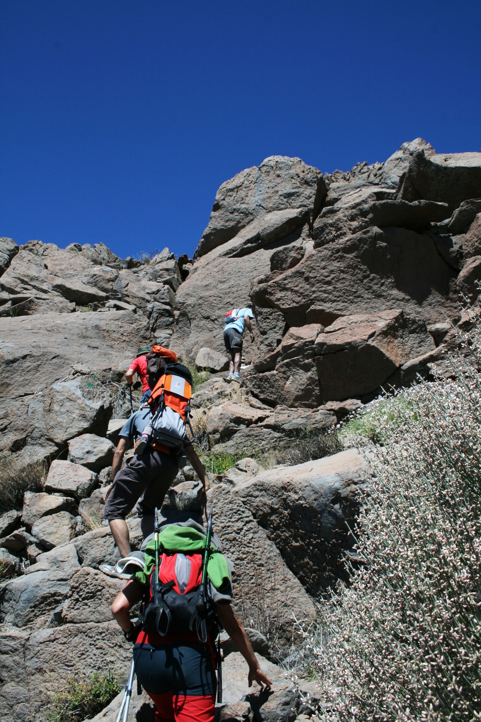 Canon EOS 400D (EOS Digital Rebel XTi / EOS Kiss Digital X) sample photo. Canary islands, teide national photography
