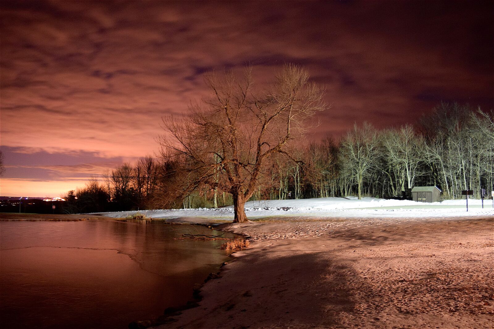 Nikon D3300 sample photo. Lake, tree, winter photography