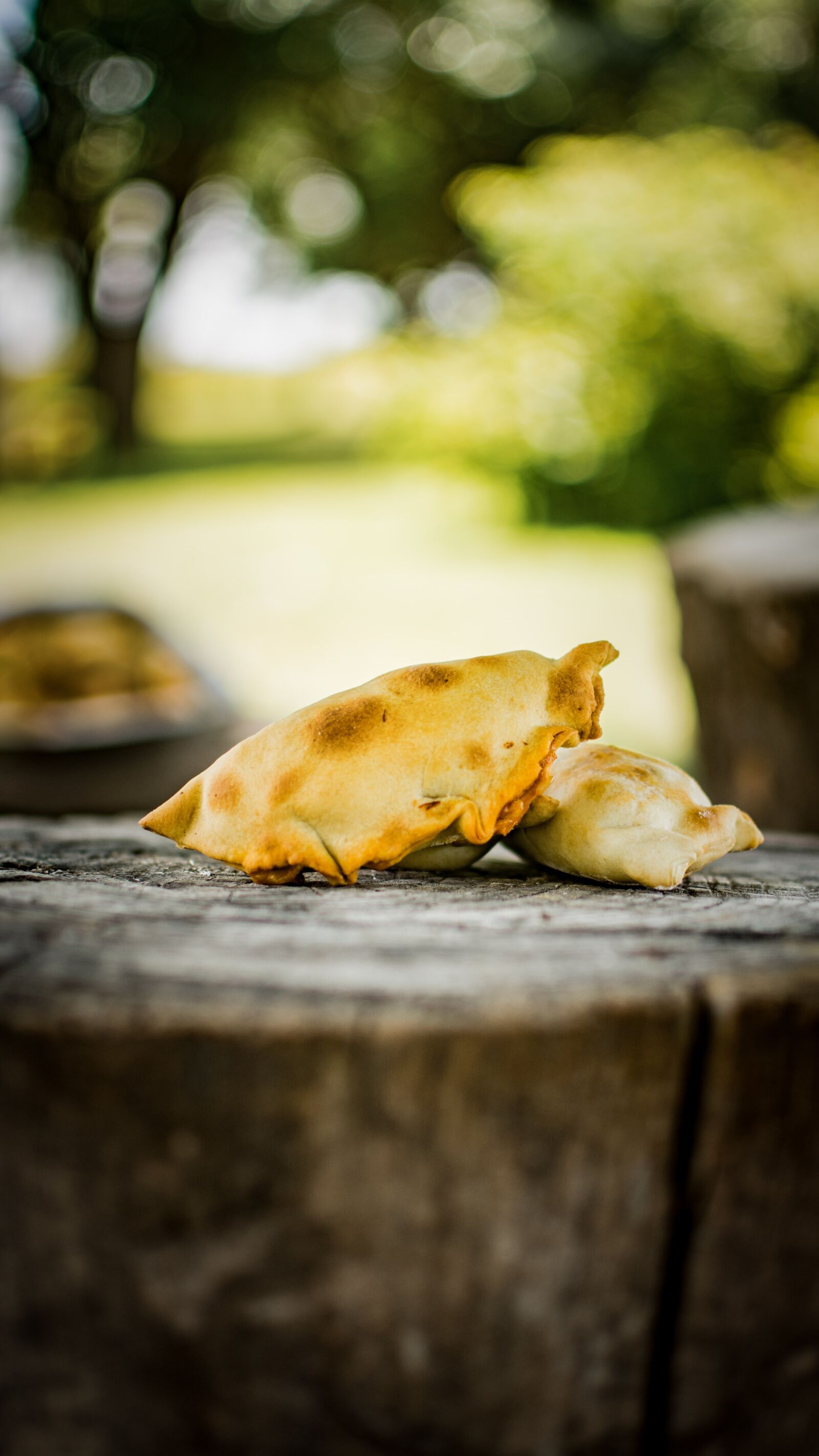 Nikon D7100 sample photo. Empanadas, tucumán, oven photography