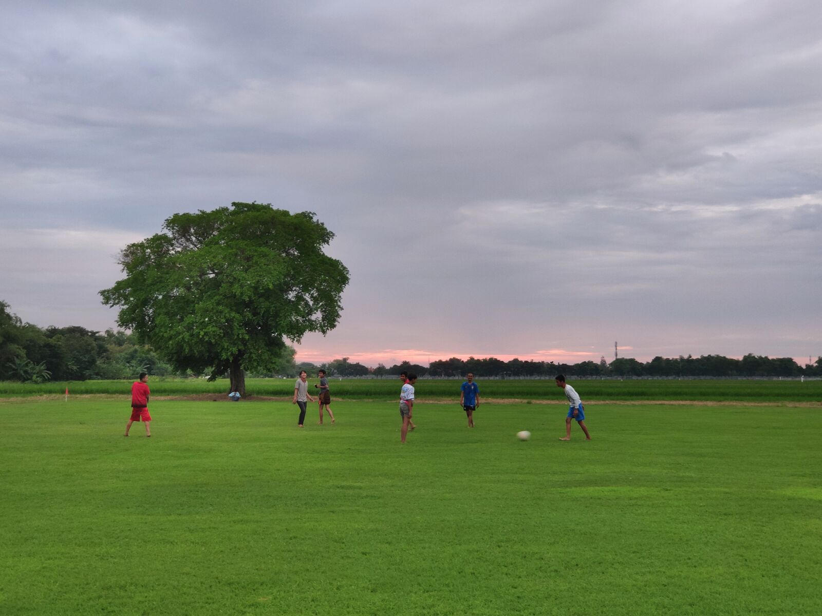 Xiaomi MI 9 sample photo. Field, kloposepuluh, sukodono photography