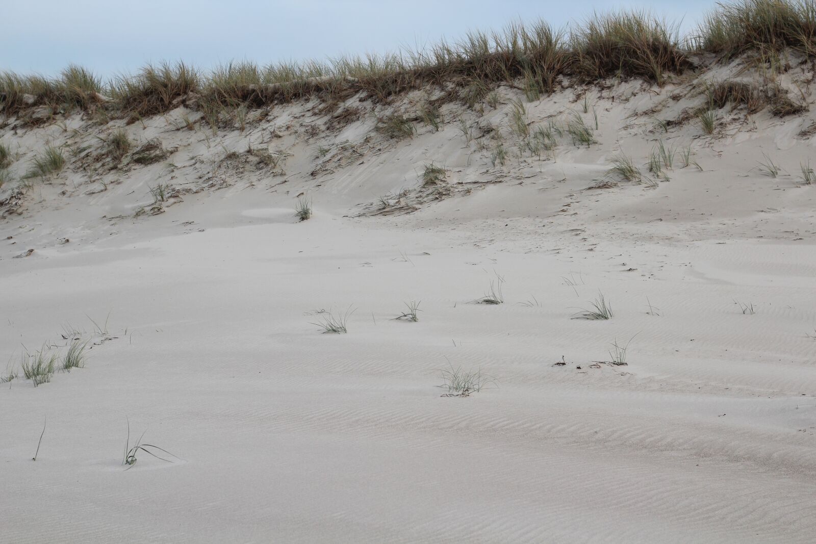 Canon EOS 600D (Rebel EOS T3i / EOS Kiss X5) + Canon EF 50mm F1.8 STM sample photo. Dunes, baltic sea, beach photography