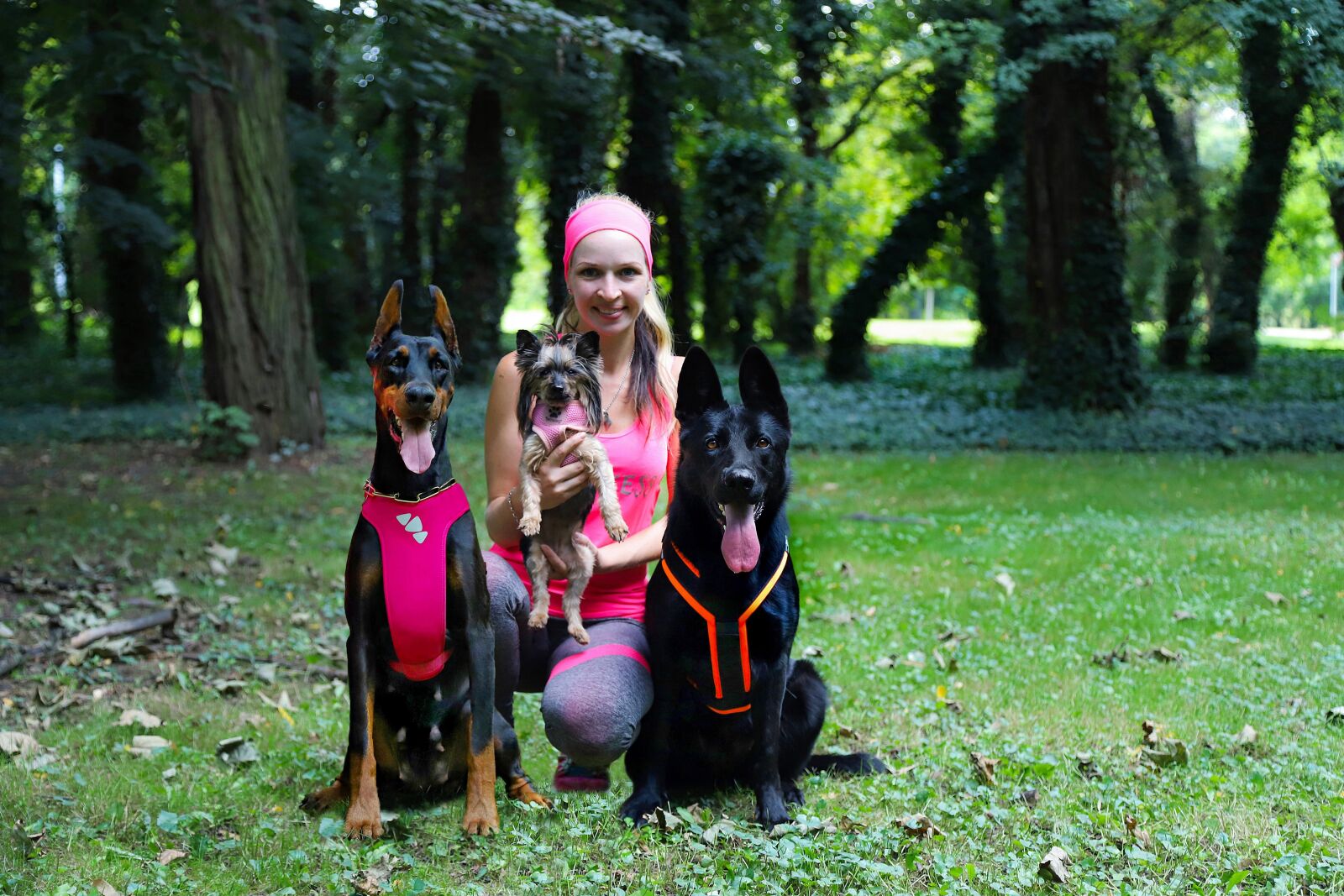 Canon EOS 6D Mark II sample photo. Blonde girl, yorkshire terrier photography