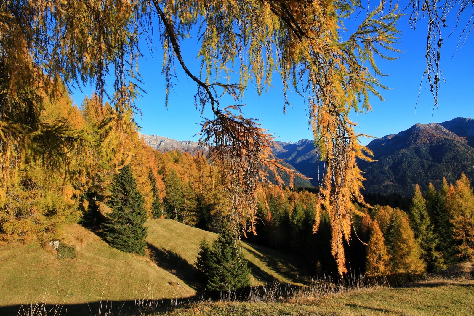 Canon EOS 650D (EOS Rebel T4i / EOS Kiss X6i) sample photo. Autumn, mountain, forest photography