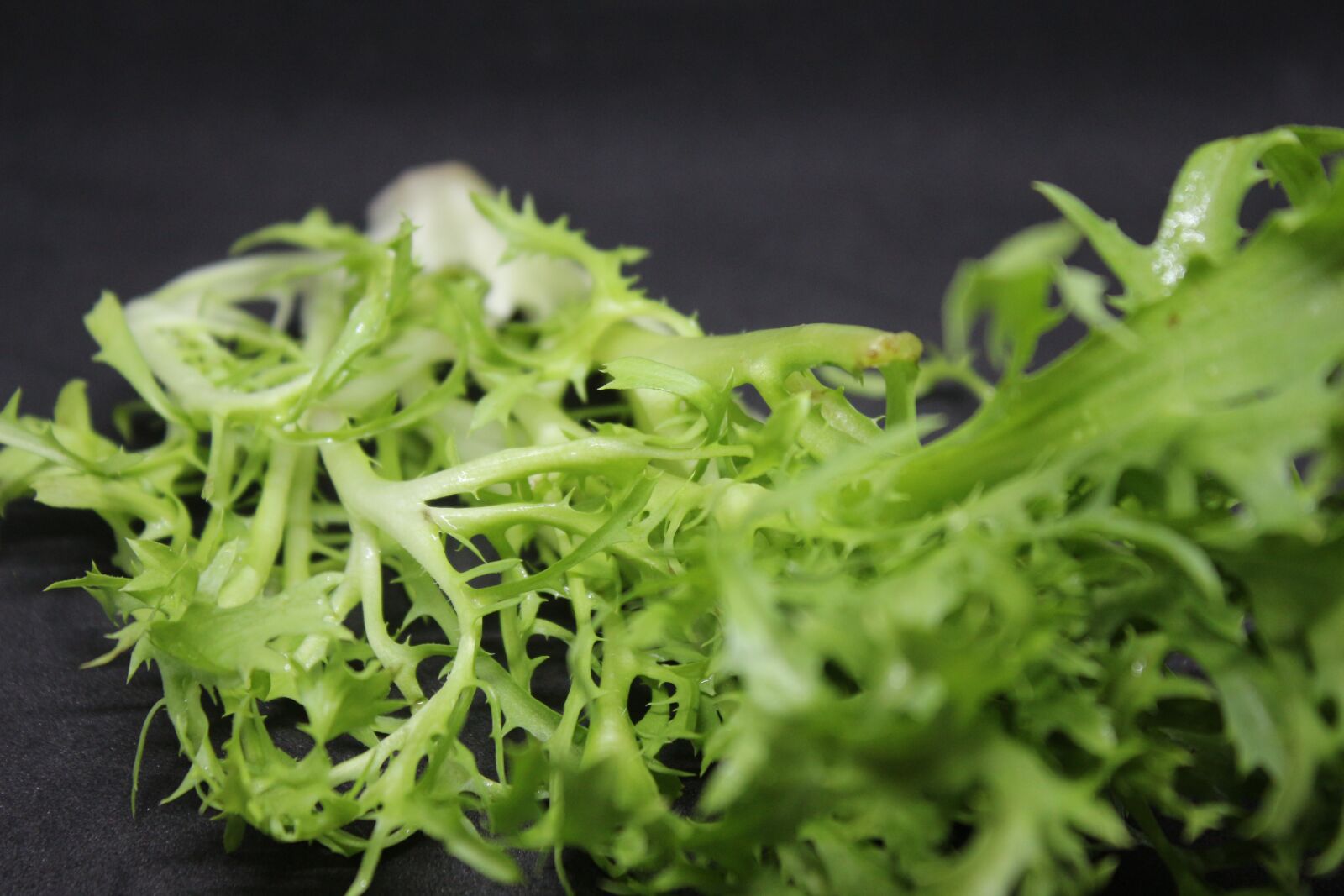 Canon EF-S 18-55mm F3.5-5.6 IS sample photo. Salad, green, food photography