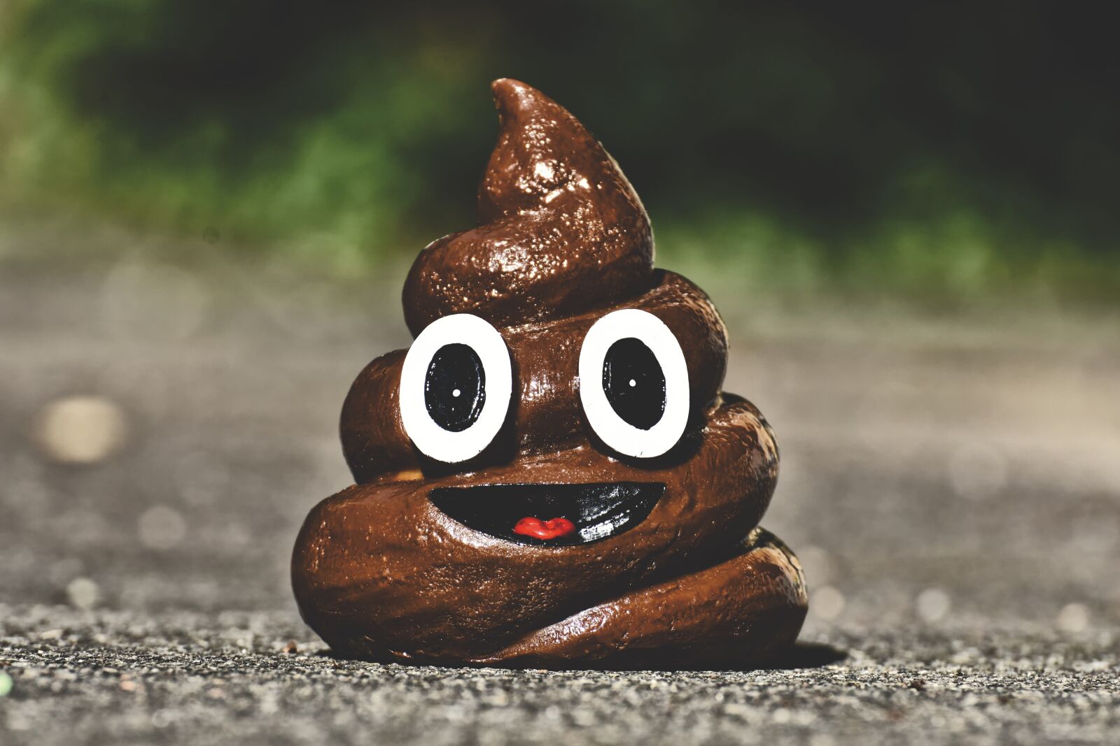 Nikon D7200 sample photo. Poop, shit, funny photography
