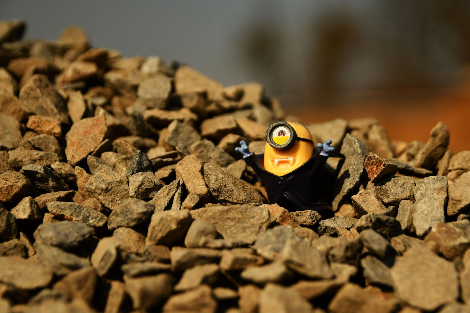 Nikon D7500 sample photo. Minion, funny, toys photography