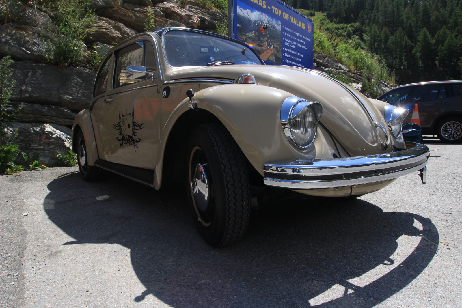 Canon EOS 100D (EOS Rebel SL1 / EOS Kiss X7) sample photo. Beetle, kever, mountain, swiss photography