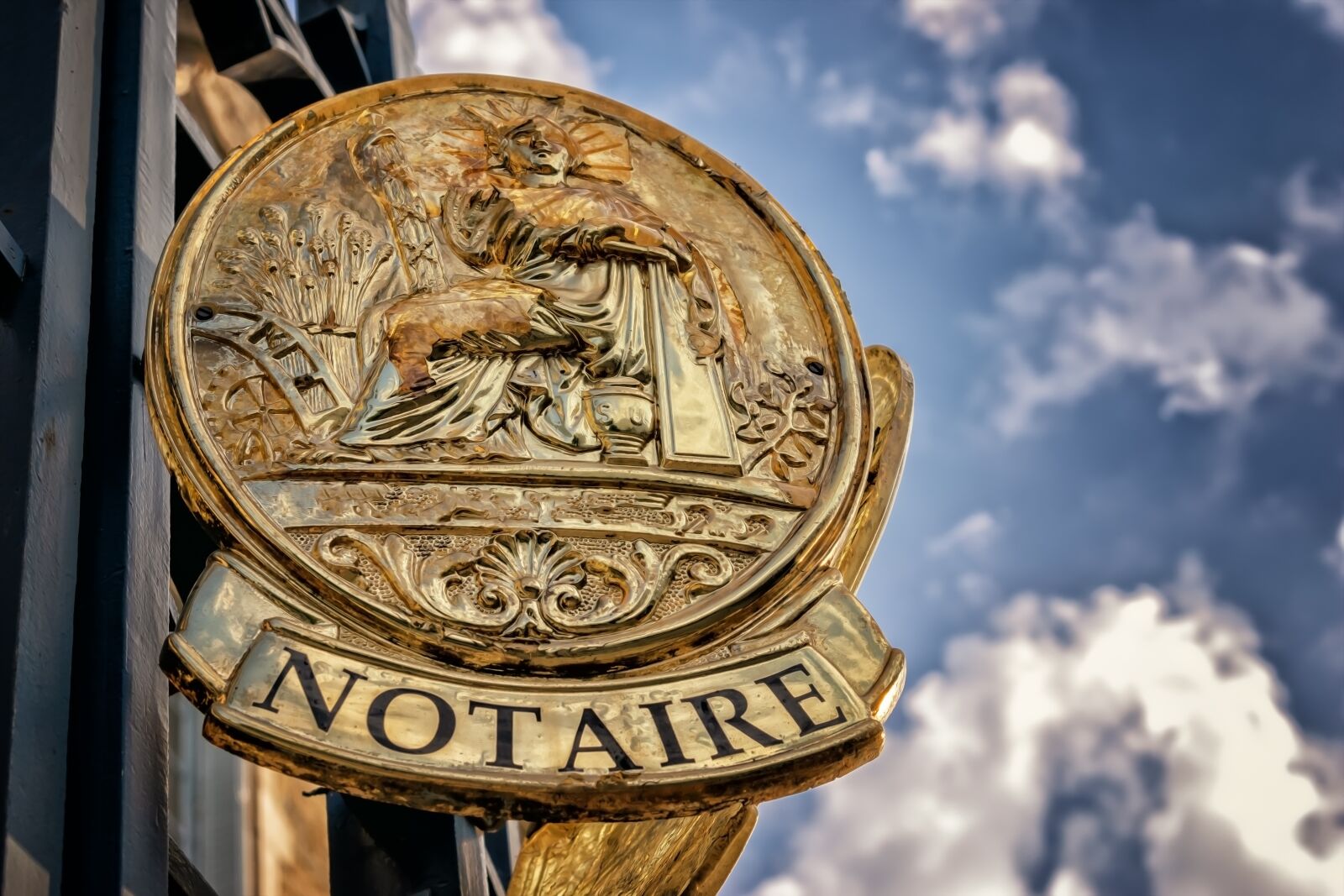 Nikon D3300 sample photo. Shield, posting, notary photography