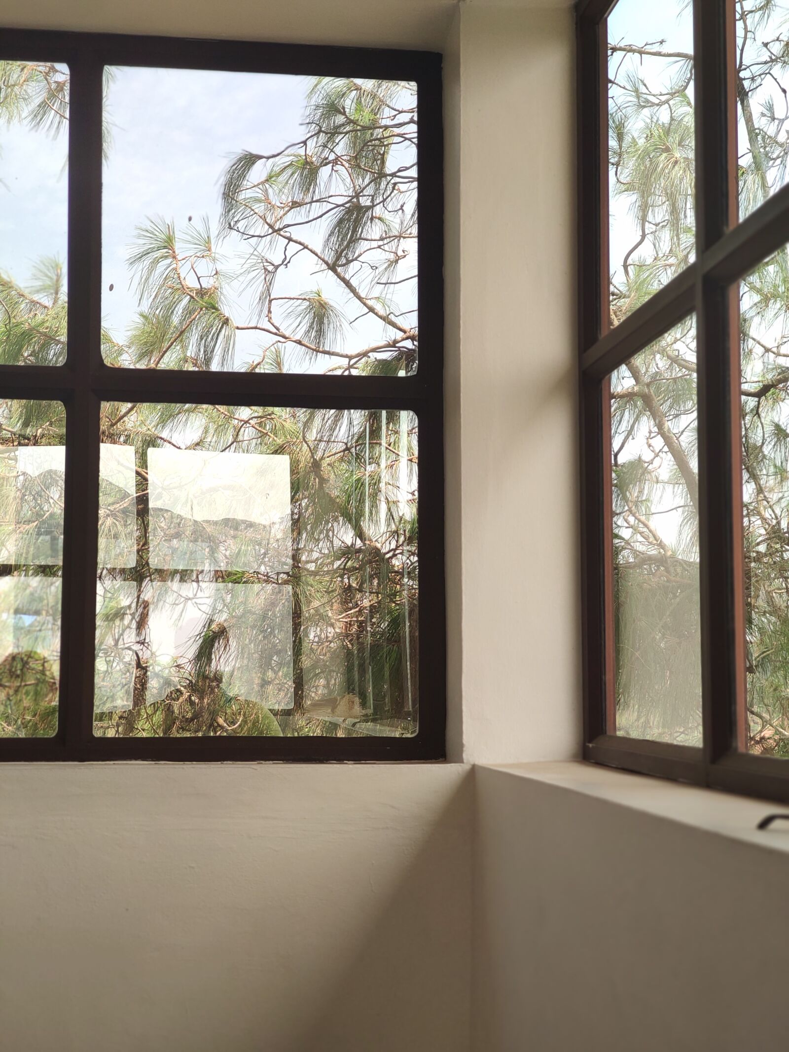 Xiaomi Redmi K20 sample photo. Windows, house, trees photography