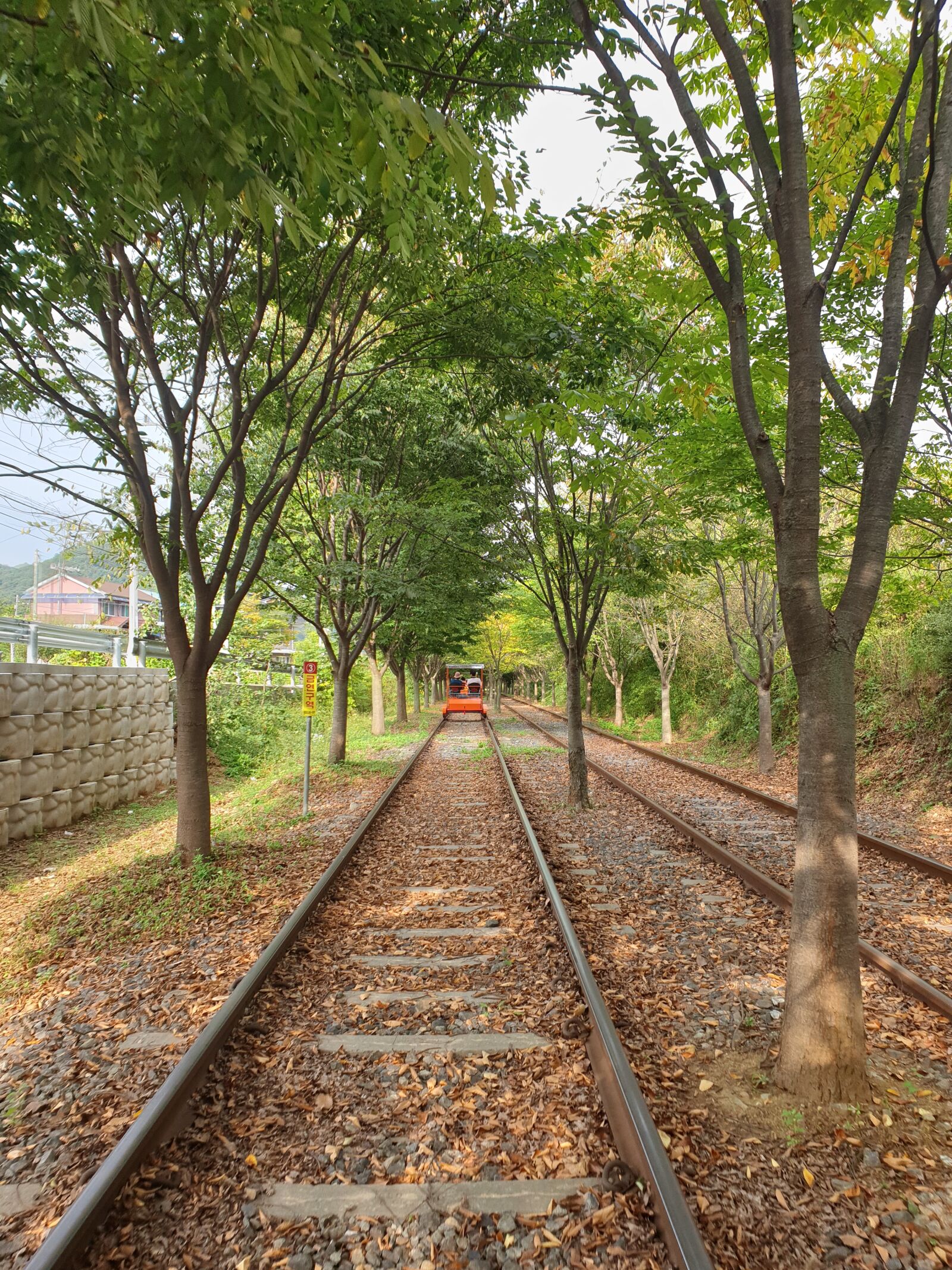 Samsung Galaxy S9+ sample photo. Tree, train, trees photography