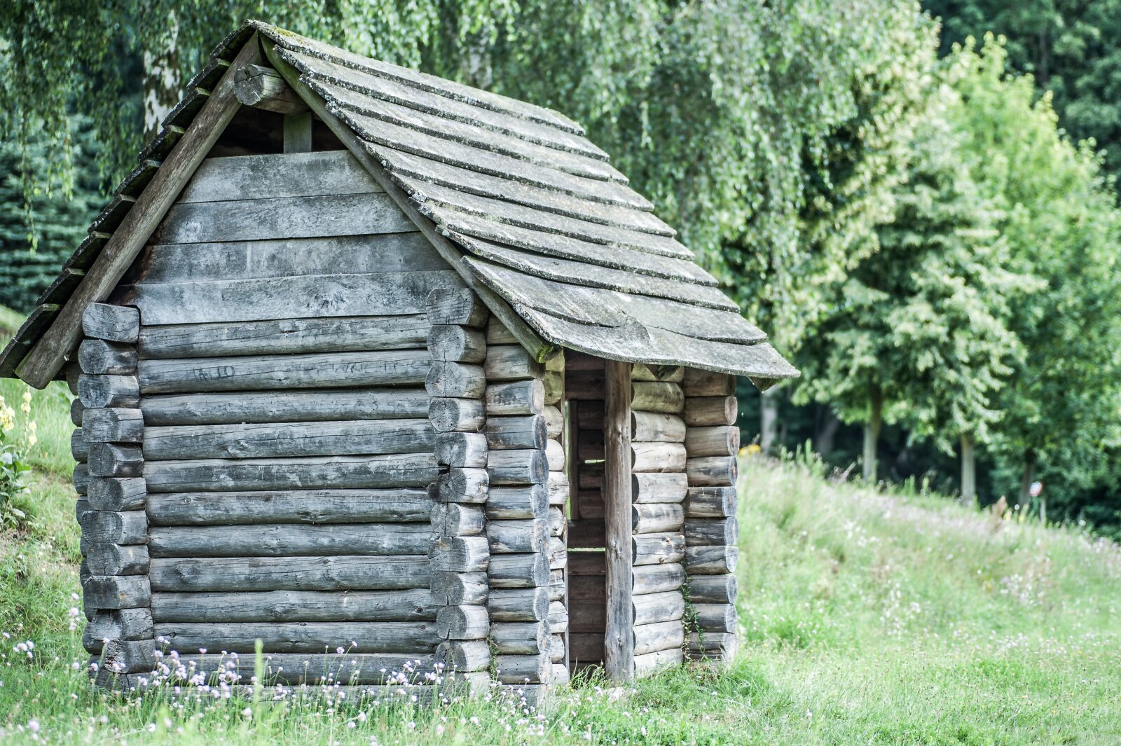Nikon D700 sample photo. Block house, old, wood photography