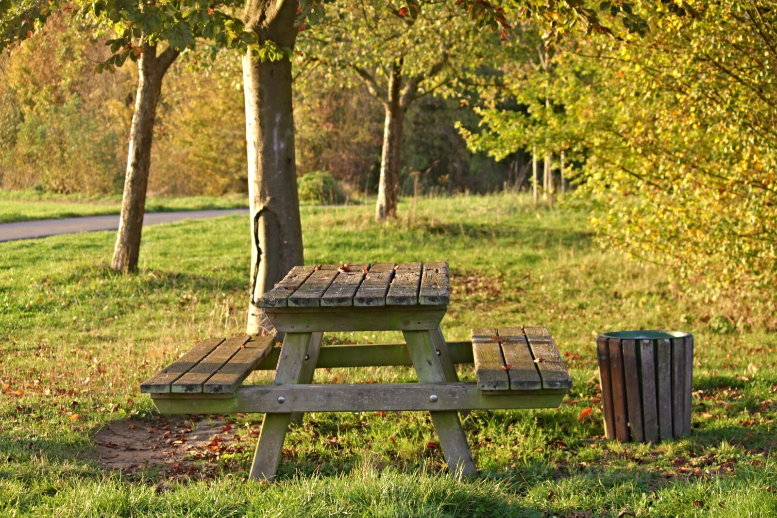 Canon EOS 1100D (EOS Rebel T3 / EOS Kiss X50) sample photo. Bank, resting place, forest photography