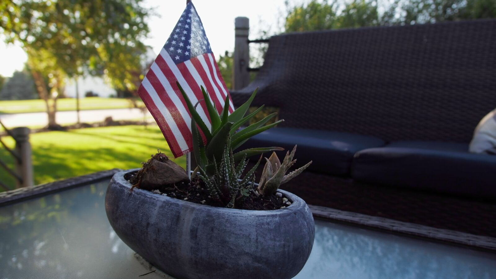 YI TECHNOLOGY M1 sample photo. Fourth of july, nature photography