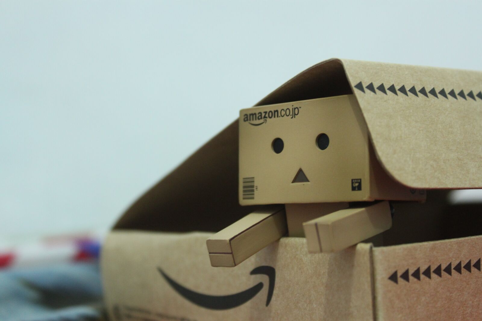 Canon EOS 500D (EOS Rebel T1i / EOS Kiss X3) sample photo. Danbo, action figure, cute photography