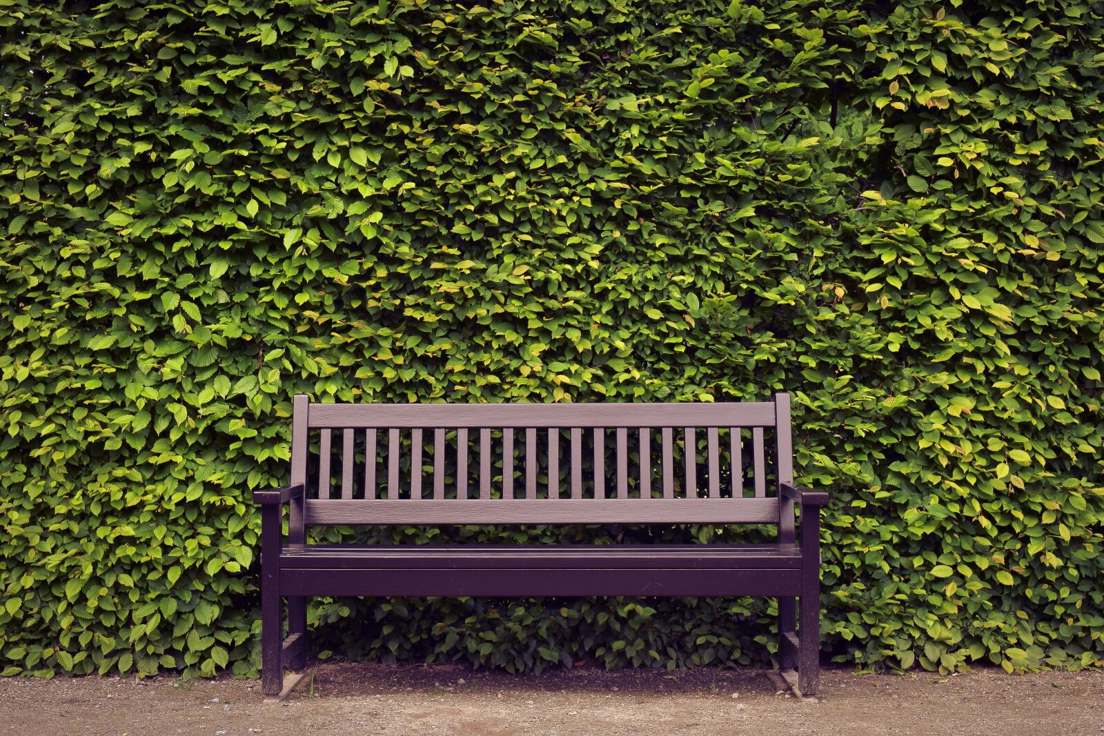 Nikon D3300 sample photo. Bank, park, sit photography
