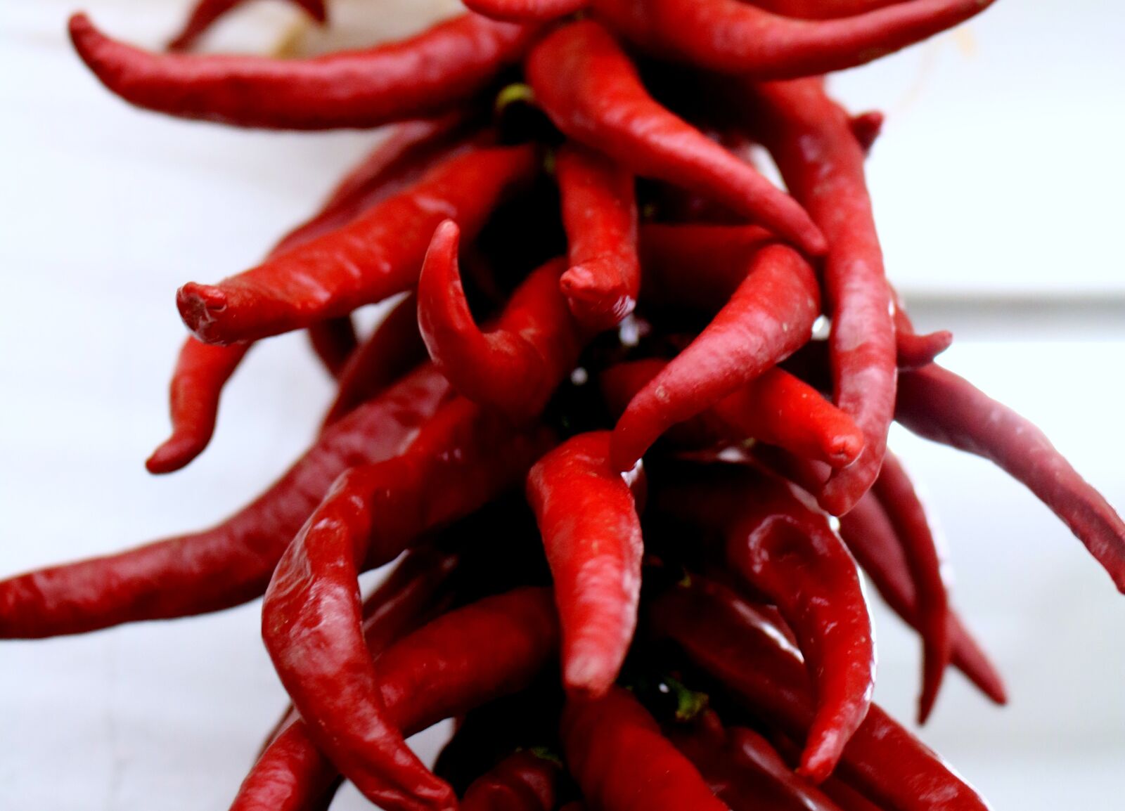 Canon EOS 70D sample photo. Chili, peppers, red photography