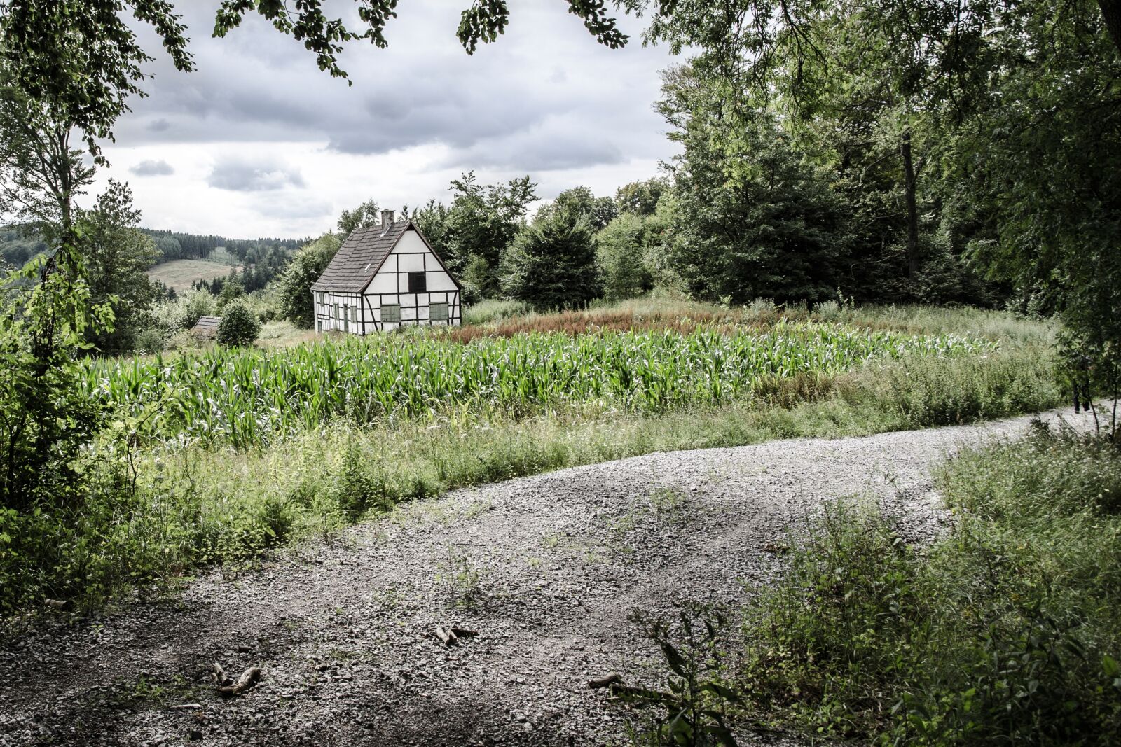 Nikon D7000 sample photo. Hut, house, forest photography